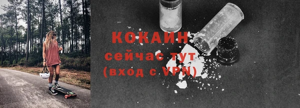 молекула духа Белокуриха